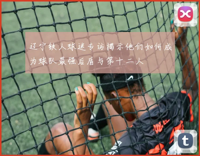辽宁铁人球迷专访揭示他们如何成为球队最强后盾与第十二人